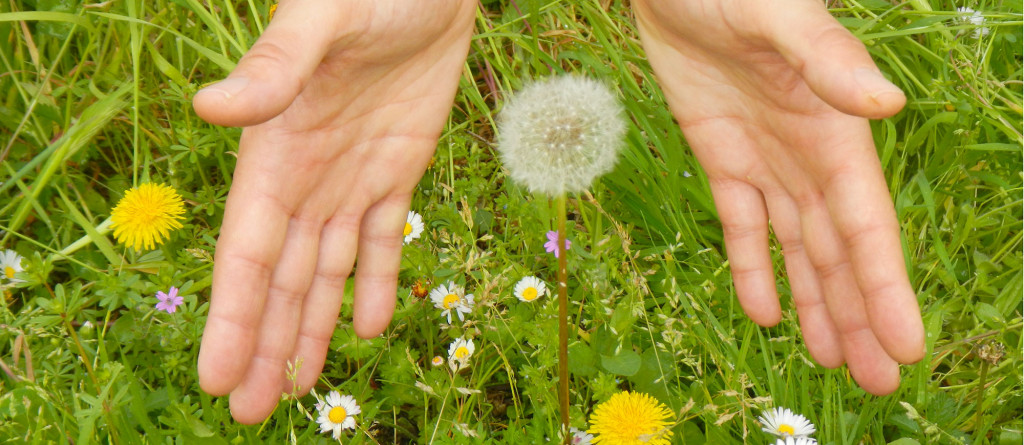 BioCoaching Toscana