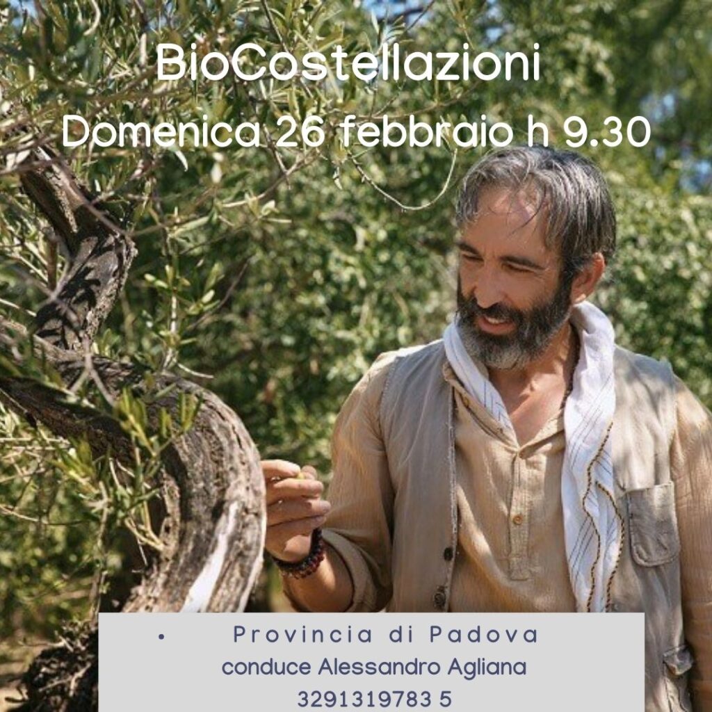 Biocostellazioni-padova-veneto-alessandro-agliana